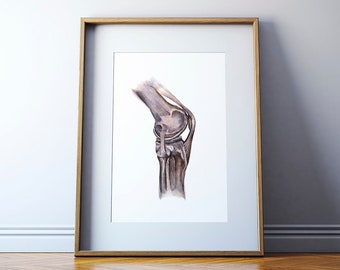 May include: A watercolor painting of a human knee joint, showing the bones and ligaments. The painting is in shades of brown and gray, and is set against a white background.