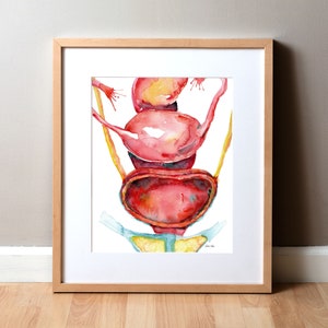 Female Pelvic Stack Anatomy Watercolor Print - Rectum, Uterus, Bladder Art - OBGYN Art - Urology Art - Female Anatomy Art Print