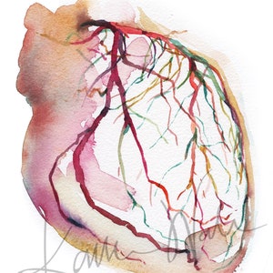 Unframed watercolor painting showing a coronary angiogram x-ray image in reds, purples, greens, oranges and yellows.

heart art, heart painting, coronary angiogram, gift for cardiologist