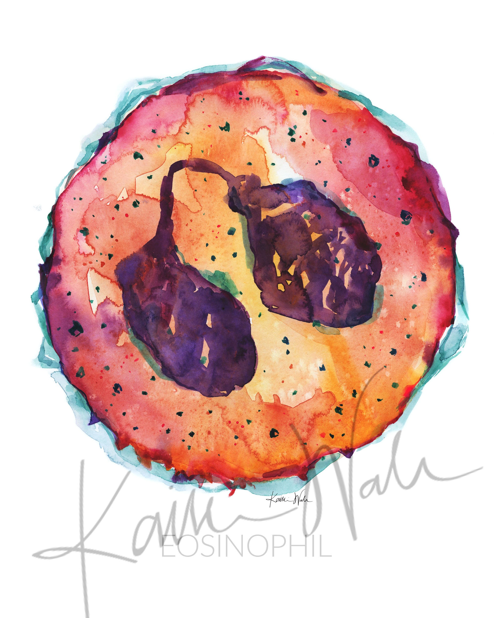 White Blood Cells Watercolor Print Set - Hematology Art - Blood Cells ...