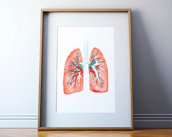 May include: A watercolor painting of human lungs with detailed red and blue veins. The lungs are depicted in a realistic anatomical style.