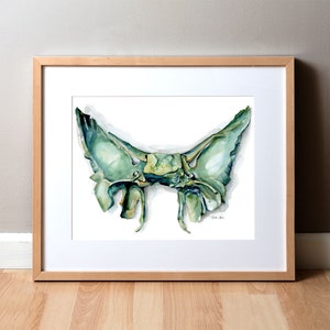 Sphenoid Watercolor Print - Bone Art - Neurology Art - Orthopedic Wall Art - ENT Painting