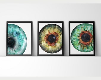 Conjunto de 3 impressões de íris em azul, verde e avelã - Arte ocular - Anatomia ocular - Arte em optometria e oftalmologia - Conjunto de arte de íris