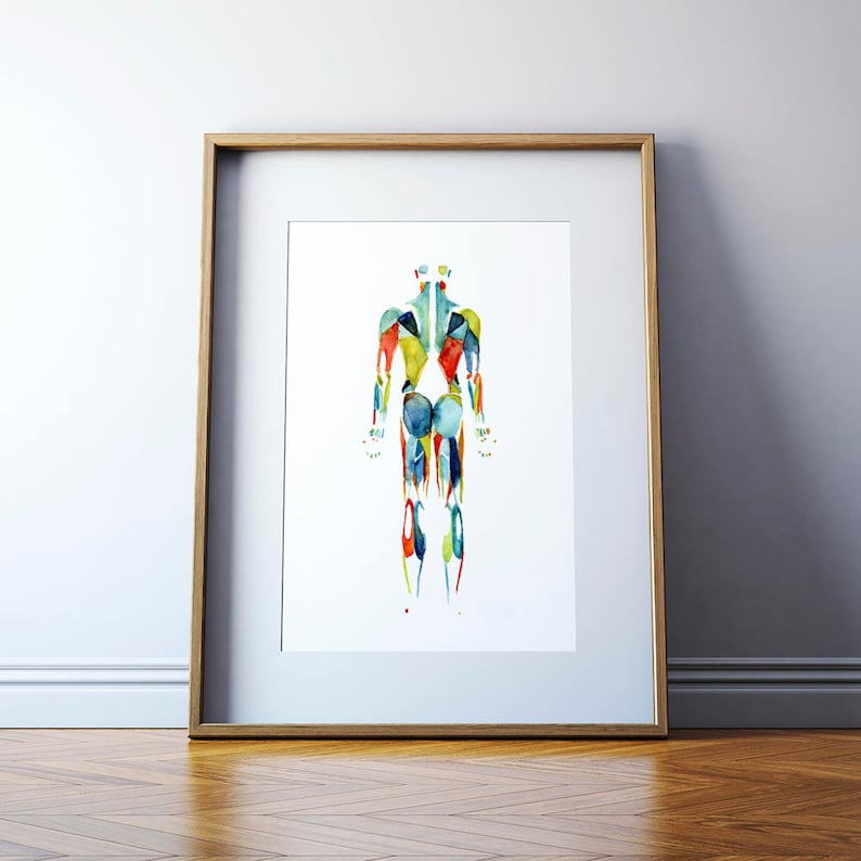 Muscular System Watercolor Print in Red Green Blue Body System Watercolor Print Medical Art Anatomy Art image 1
