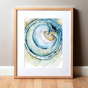 Fetus and Membranes Watercolor Art - Pregnancy Anatomy Art Print - OBGYN Anatomy Art Print - Fertility and Reproductive Anatomy Art