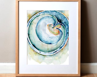 Fetus and Membranes Watercolor Art - Pregnancy Anatomy Art Print - OBGYN Anatomy Art Print - Fertility and Reproductive Anatomy Art