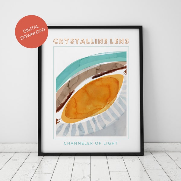 LIMITED EDITION Digital Download - Crystalline Lens - Optometry Poster - Contemporary Anatomy Art - Gift for Optometrist