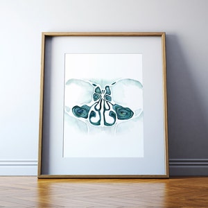 Puede incluir: Una pintura de acuarela enmarcada de una nariz humana en sección transversal, que muestra las cavidades nasales y los senos paranasales en tonos de azul y verde.