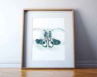 Coronal Section of the Sinuses Watercolor Art Print - ENT and OMFS Art - Head Anatomy Art