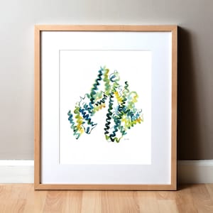 Albumin Protein Watercolor Art Print - Microbiology Art - Biology and Science Painting