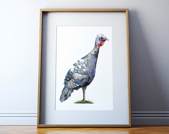 Turkey Watercolor Art Print - Turkey Bird Painting