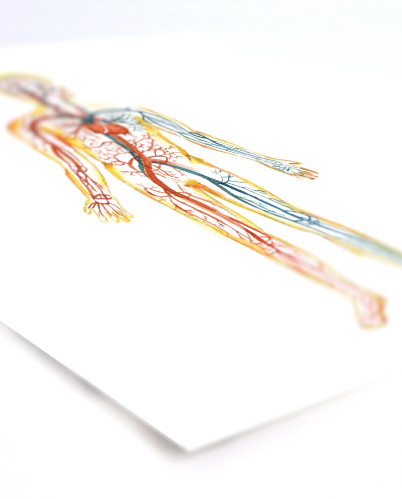 Body Systems 3-piece Watercolor Print Set - Anatomy Art Set - Muscular ...