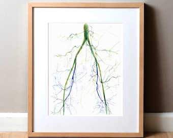 May include: A watercolor painting of a stylized human vascular system, with green and blue veins branching out from a central point.