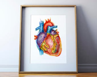 Vibrant Anatomical Heart Watercolor Art Print - Anatomy Art - Heart Painting - Cardiovascular Art