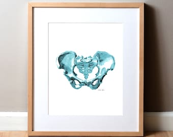 Blue Pelvis Art - Pelvis Watercolor - Pelvis Print - Medical Art