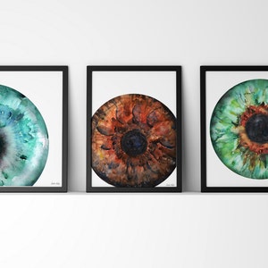 Set of 3 Iris Prints with Blue, Green and Brown- Eye Art - Eye Anatomy - Optometry and Ophthalmology Art - Human Iris Art Set