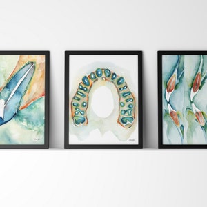 Set of 3 Conebeam Prints - Dental Art Set - Teeth Watercolor Set - Dentist Anatomy - Dental Office Art