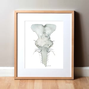 The Pons Watercolor Print - Brain Art - Neurology Painting - Neurology Art