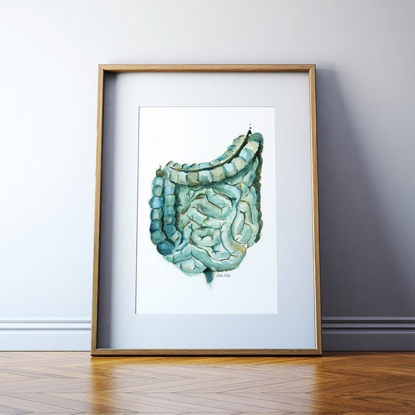 Large and Small Intestine Watercolor Print in Blue - Anatomy Art