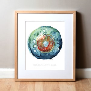 Regulatory T Cell Watercolor Print - Immunology - Immunologist Art - Blood Cell Art