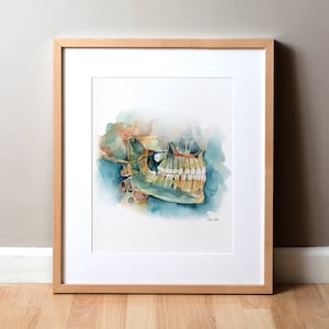 Conebeam IV Art Watercolor Print, Dental Anatomy, Tooth Art, Dentist Art, Watercolor Print, Skeleton and Skull Art
