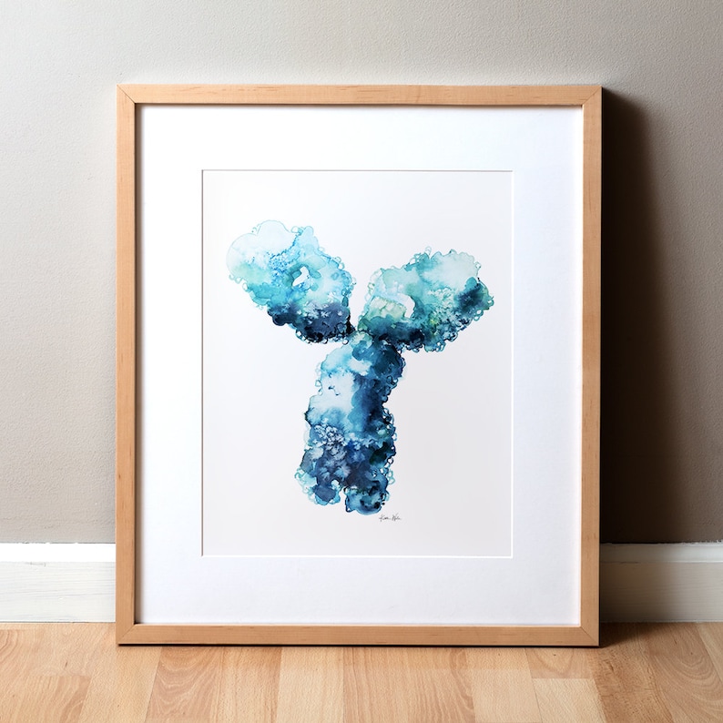 May include: A framed watercolor painting of a blue and green antibody, a Y-shaped protein that helps the immune system fight off infections.