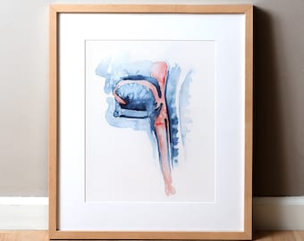 Puede incluir: Una pintura de acuarela de una garganta humana, con la cavidad nasal, la faringe y la laringe representadas en azul y rojo.