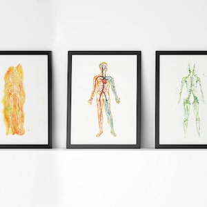 Body Systems 5-Piece Watercolor Print Set - Anatomy Art Set - Muscular, Nervous, Lymphatic, Cardiovascular and Skeletal System Art Print Set