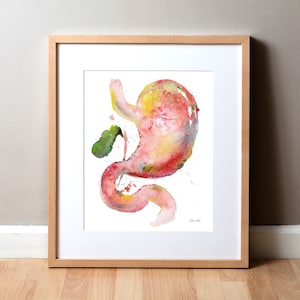 Stomach, Duodenum & Gallbladder Watercolor Print - Gastrointestinal Art - GI Painting
