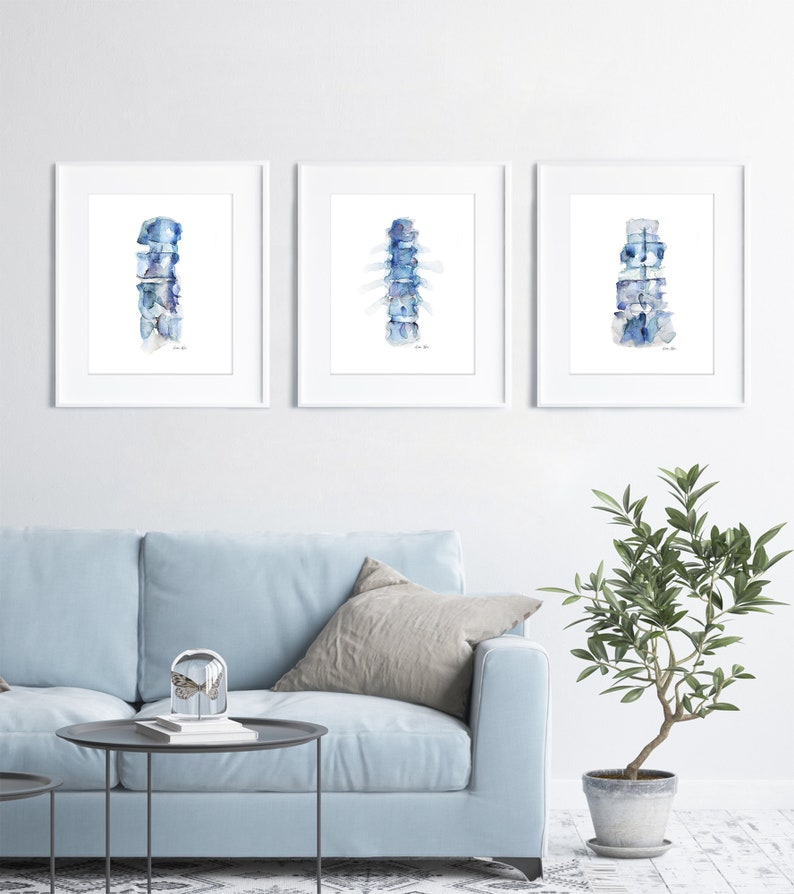 Blue Spine Print Series of 3 Anatomy Art Set 3 Watercolor Prints image 5