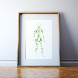 Lymphatic System Watercolor Print - Body System Watercolor Print - Anatomy Art - Medical Art