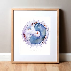 Monocyte Watercolor Print - Blood Cell Art - White Blood Cell - Immunologist Gift