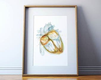 Electrical Pathways Heart Watercolor Art Print - Anatomy Art - Heart Painting - Cardiovascular Art