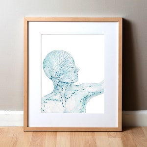 Graceful Lymphatics- Lymphatic System - Gift for Aesthetician - Lymph Anatomy Art