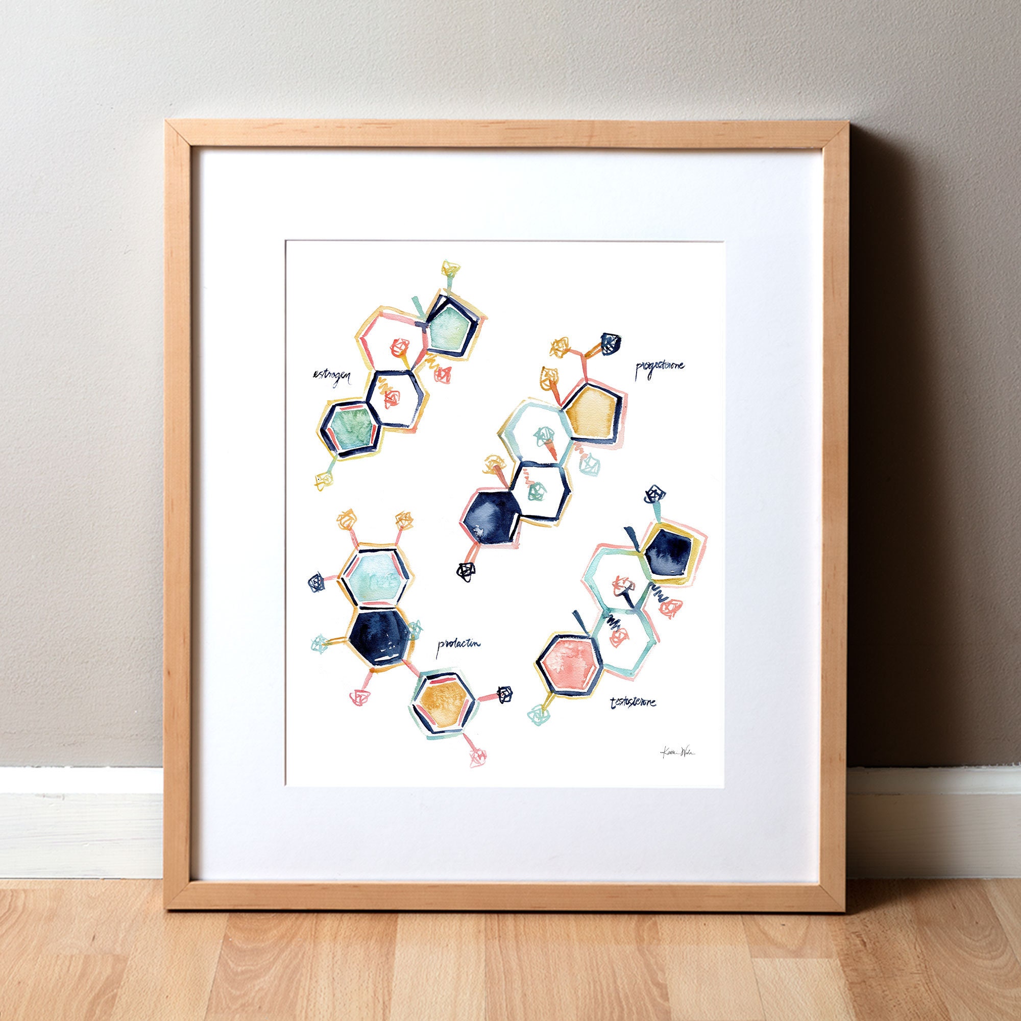 Reproductive Hormones Watercolor Poster - Hormone Art - Fertility Art - Male Hormones - Female Hormones