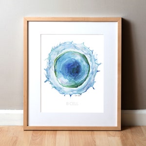 B Cell Watercolor Print - White Blood Cells - Blood Cell Art - Cell Print