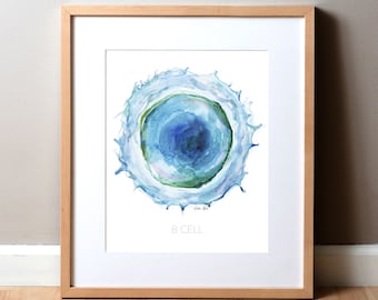 B Cell Watercolor Print - White Blood Cells - Blood Cell Art - Cell Print