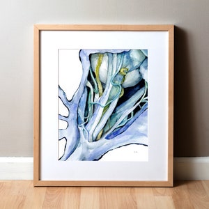 Prachtige baan aquarelprint - oogheelkundige kunst - oogschildering - cadeau voor oogarts