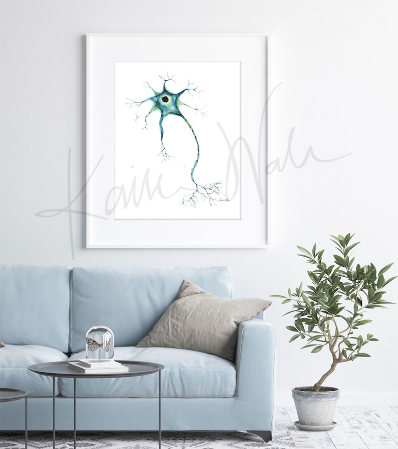 Nerve Cell Watercolor Print - Motor Neuron - Nerve Art - Brain Art ...