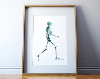Skeletal System Watercolor Art - Body System Watercolor Print - Medical Art - Anatomy Art