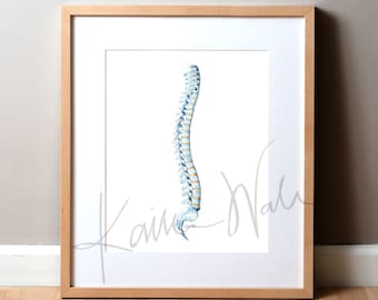 Spinal Column Watercolor Print - Spine Art - Orthopedic Art - Spinal Paintings