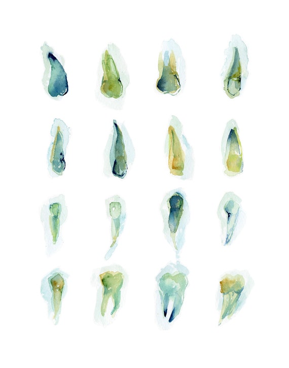 Sixteen Teeth in Sea Glass Green Dental Art Dentist Art Teeth