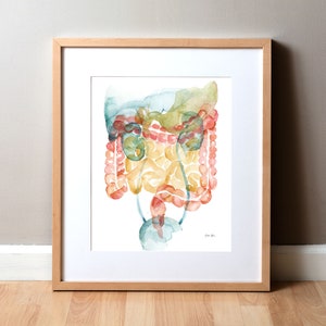 GI/GU-aquarelprint - gastro-enterologie - urogenitaal - maagkunst