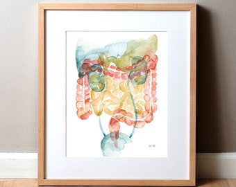 GI/GU Watercolor Print - Gastroenterology - Genitourinary - Stomach Art