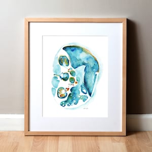 Blue Abdomen Cross Section Watercolor Print - Anatomy Art - Medical Art - Gift for Surgeon - General Surgery Art Print