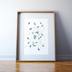 Sperm Watercolor Art Print - Fertility Doctor Art - Fertility Watercolor - Male Anatomy Watercolor Art
