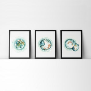 Embryo Set of 3 Watercolor Print - Fertility and IVF Three Art Prints - OBGYN Doctor Office Art - Anatomy Art