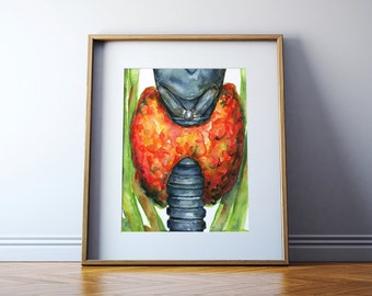 Thyroid and Trachea Watercolor Print - Endocrine Art Print - Glandular Anatomy Art