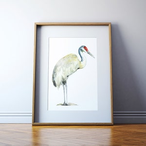 Sandhill Crane Watercolor Art Print - Sandhill Crane Bird Painting