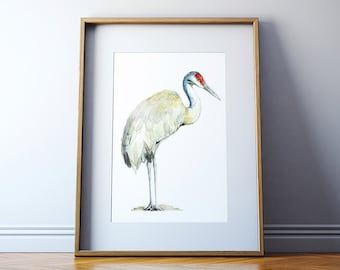 Sandhillkraanvogel aquarelkunstdruk ingelijst - Sandhillkraanvogel schilderij - rustig kantoordecor